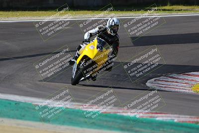 media/Mar-17-2024-Fastrack Riders (Sun) [[c7d6f8c14c]]/Level 1/Turn 6/